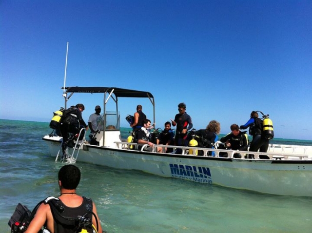  Diving and expeditions 